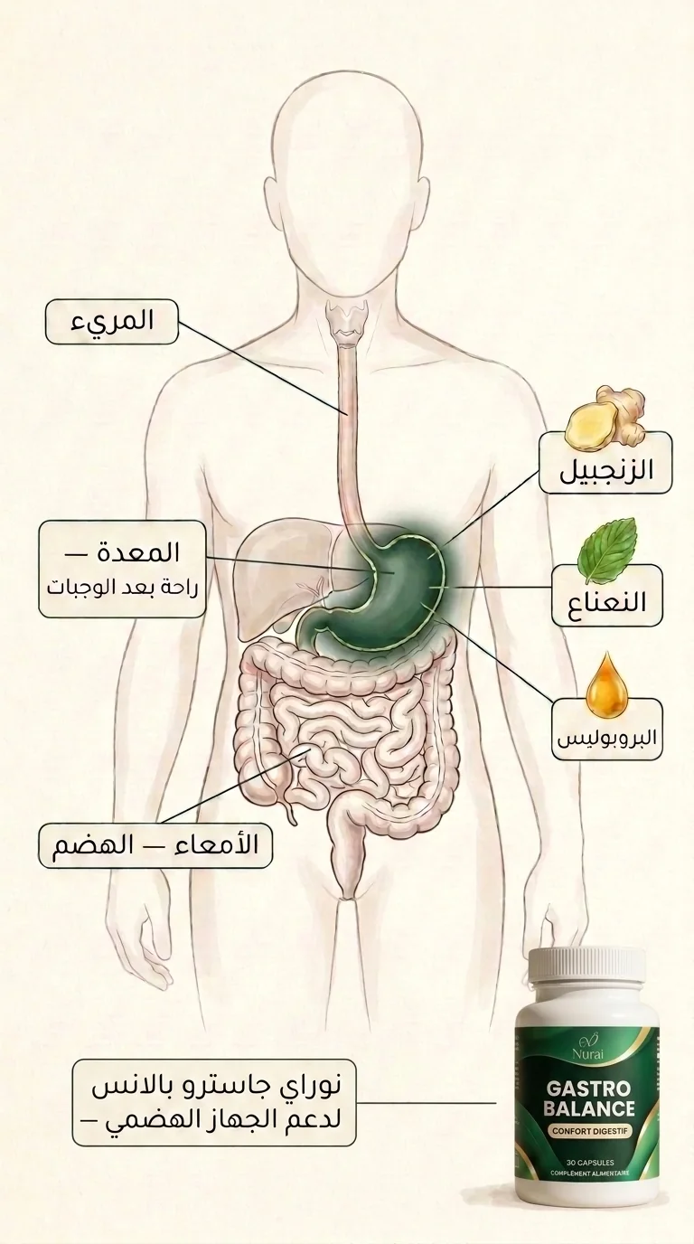 شنو كيوقع مع الروتين؟